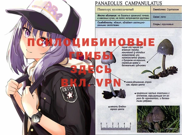 COCAINE Кинешма
